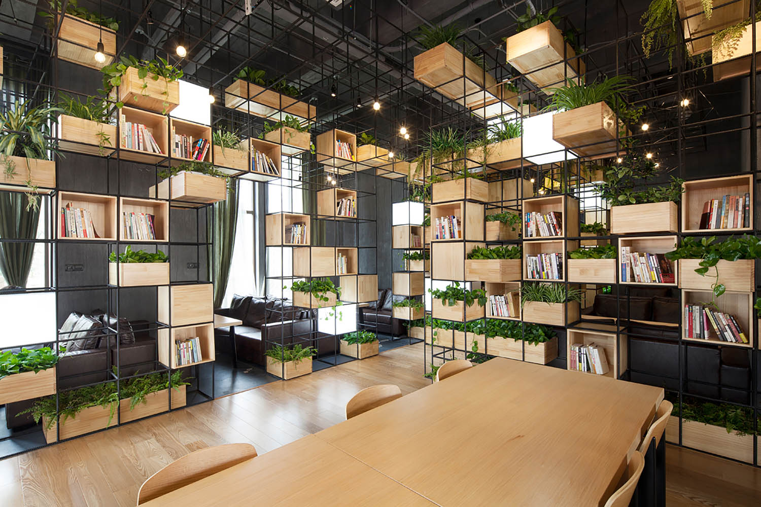 Làm sao để trang trí cây xanh cho văn phòng hợp phong thuỷ?